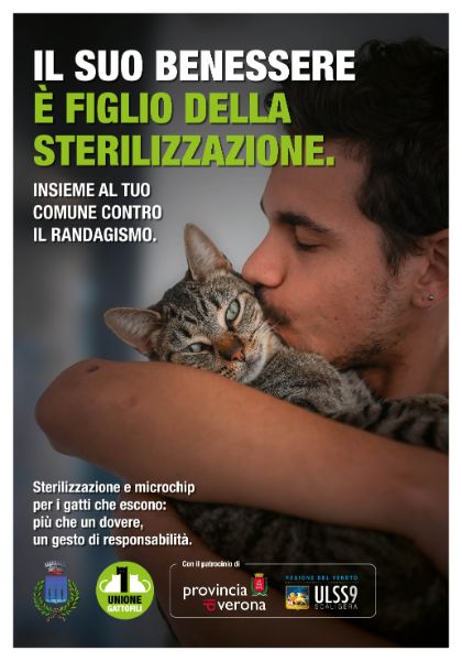 Campagna a favore della sterilizzazione dei gatti